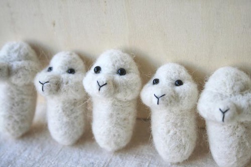 alpacaprogress01.JPG