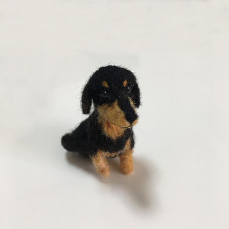 dachshund01.jpg