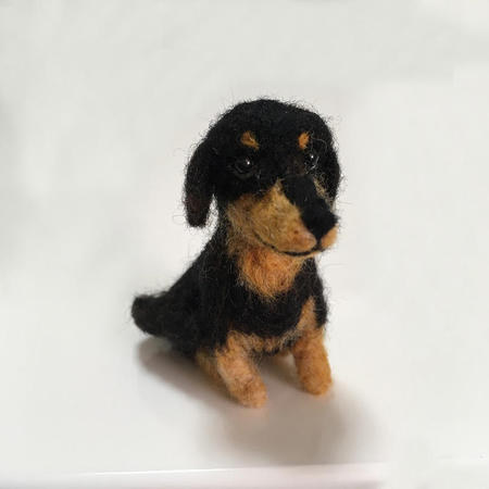 dachshund02.jpg