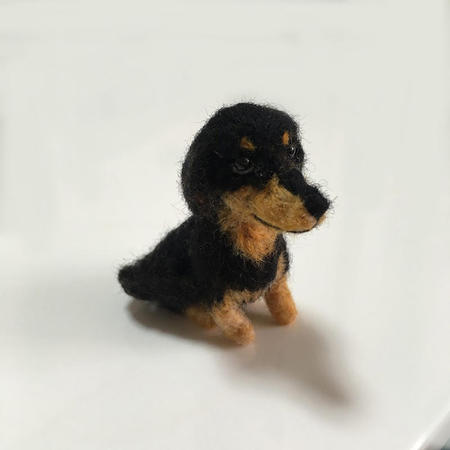 dachshund03.jpg