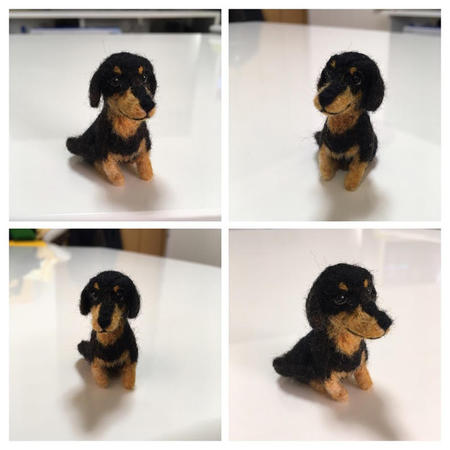 dachshundcollage.jpg