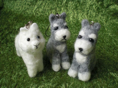 20111002_dog1.jpg