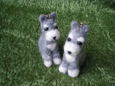 20111002_dog2.jpg