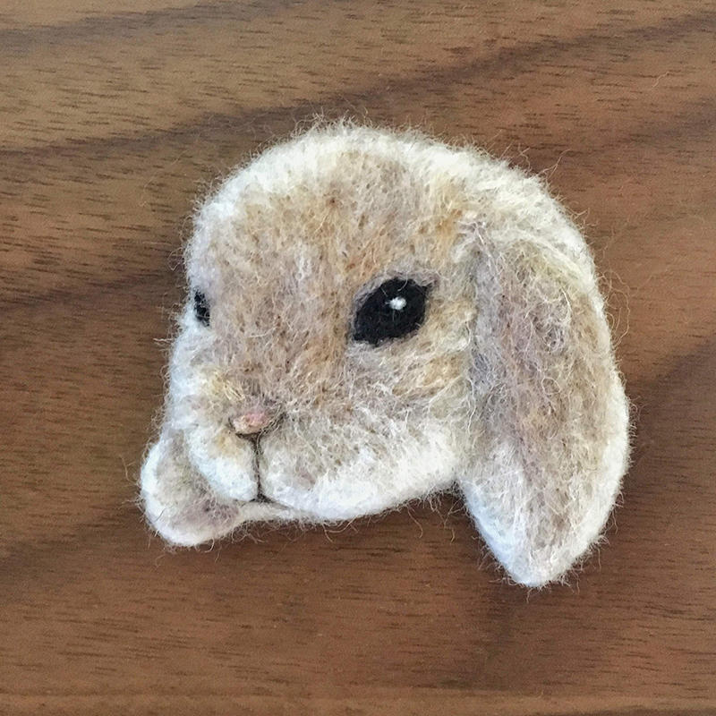 rabbit01.jpg